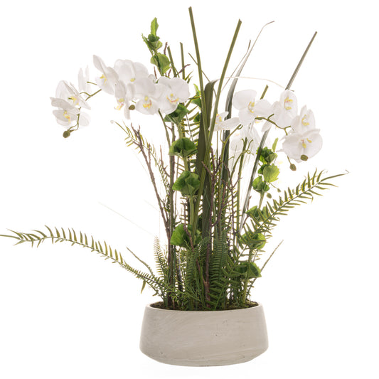 Giant Potted Ochid In Stone Pot With Fern Detail