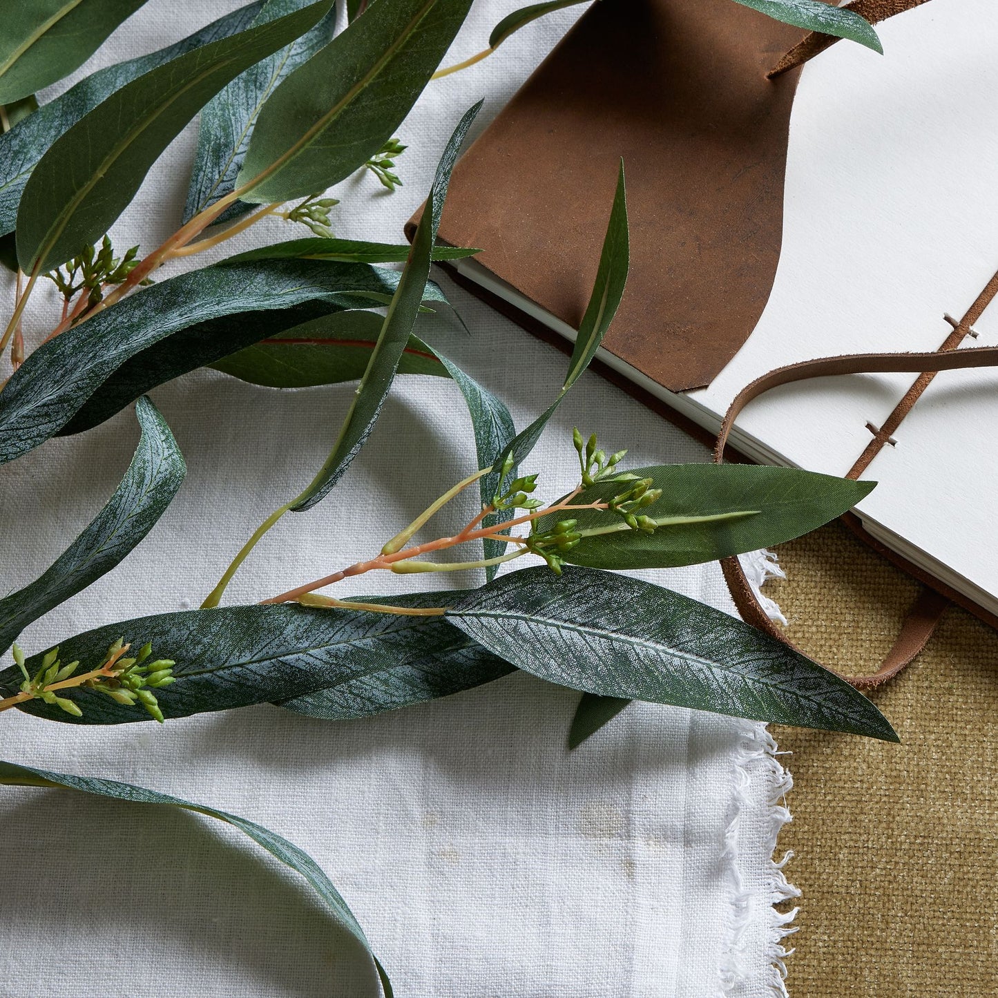 Blue Gum Eucalyptus Branch