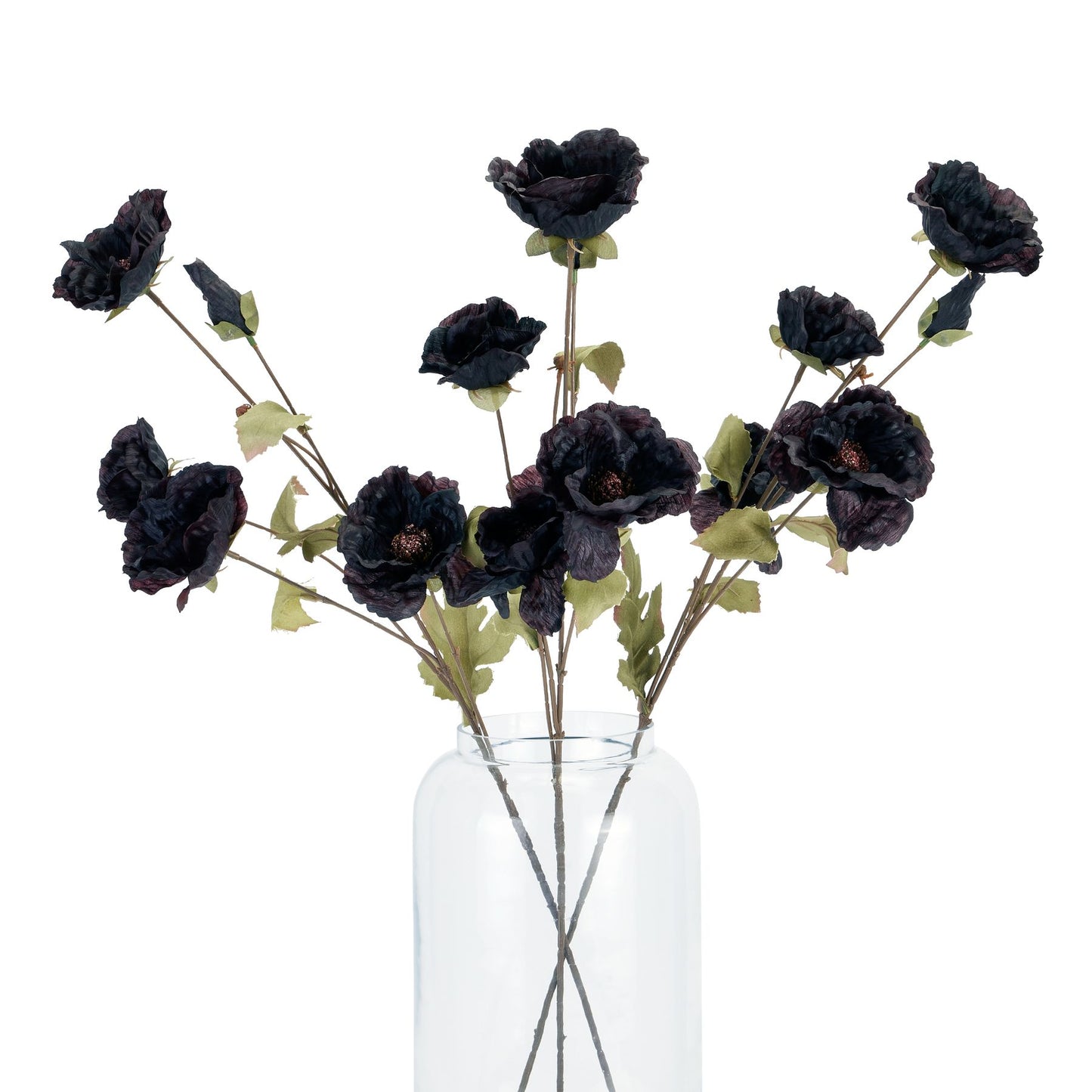 Tall Black Poppy Stem