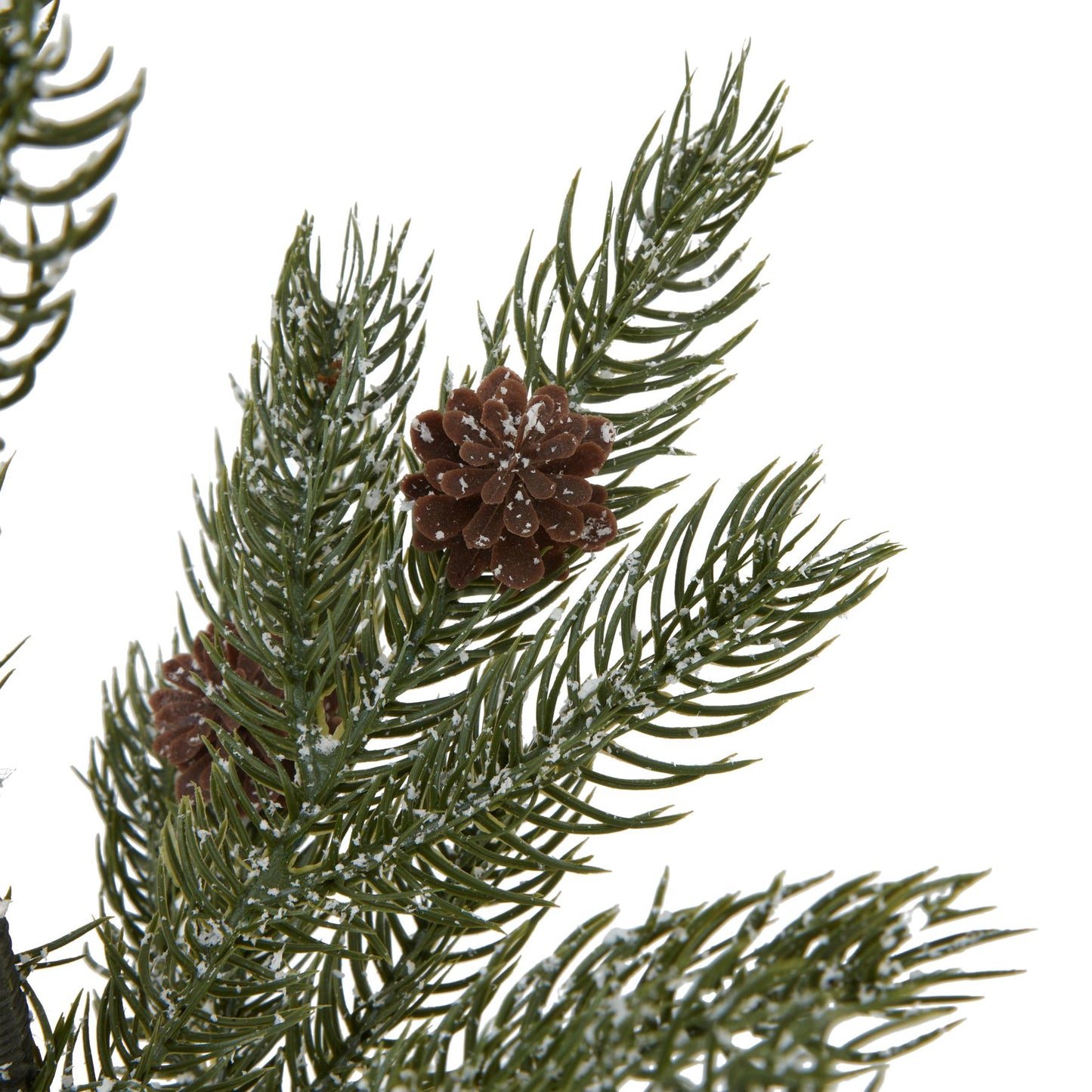 Small Pine Tree With Hessian Covered Base