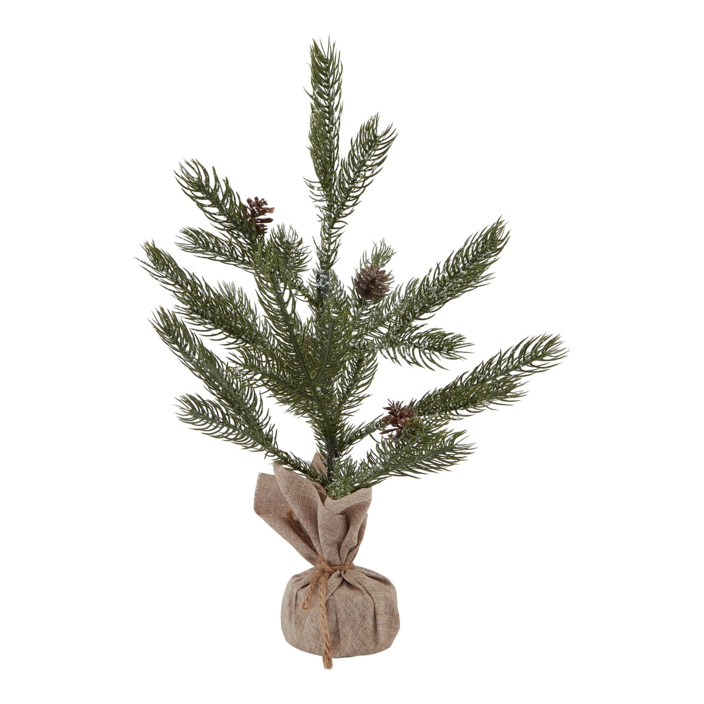 Small Pine Tree With Hessian Covered Base