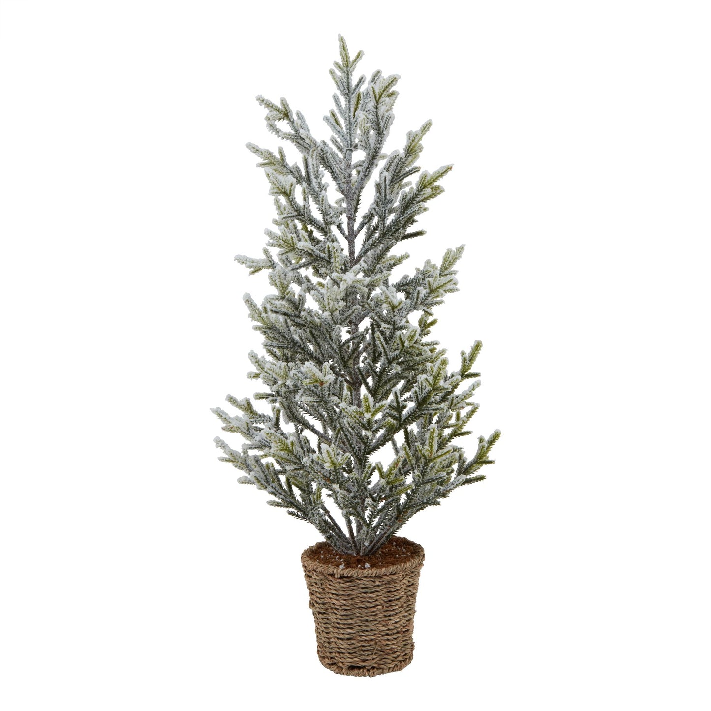 Medium Pine Tree With Wicker Basket