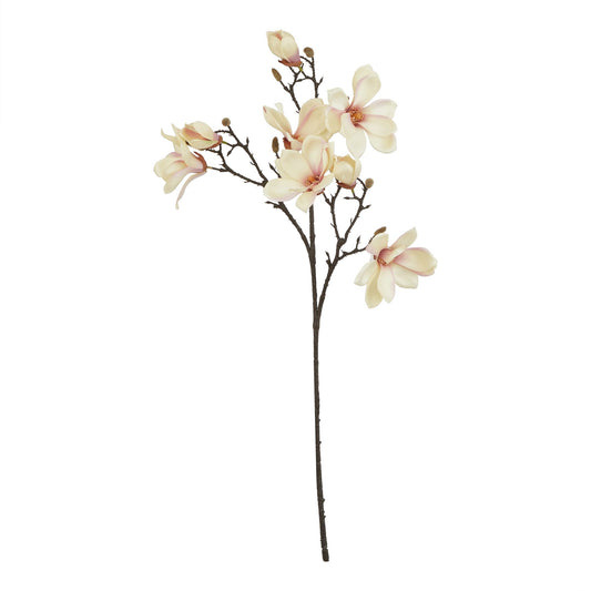 The Natural Garden Collection Pale Apricot Magnolia Stem