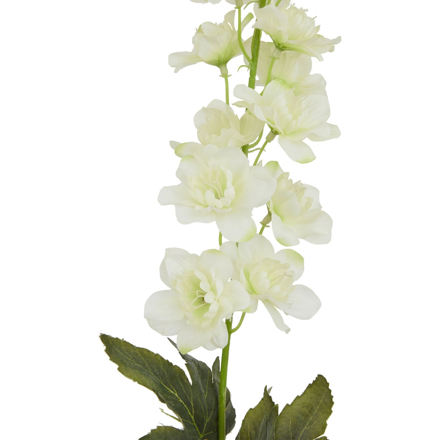 The Natural Garden Collection White Delphinium