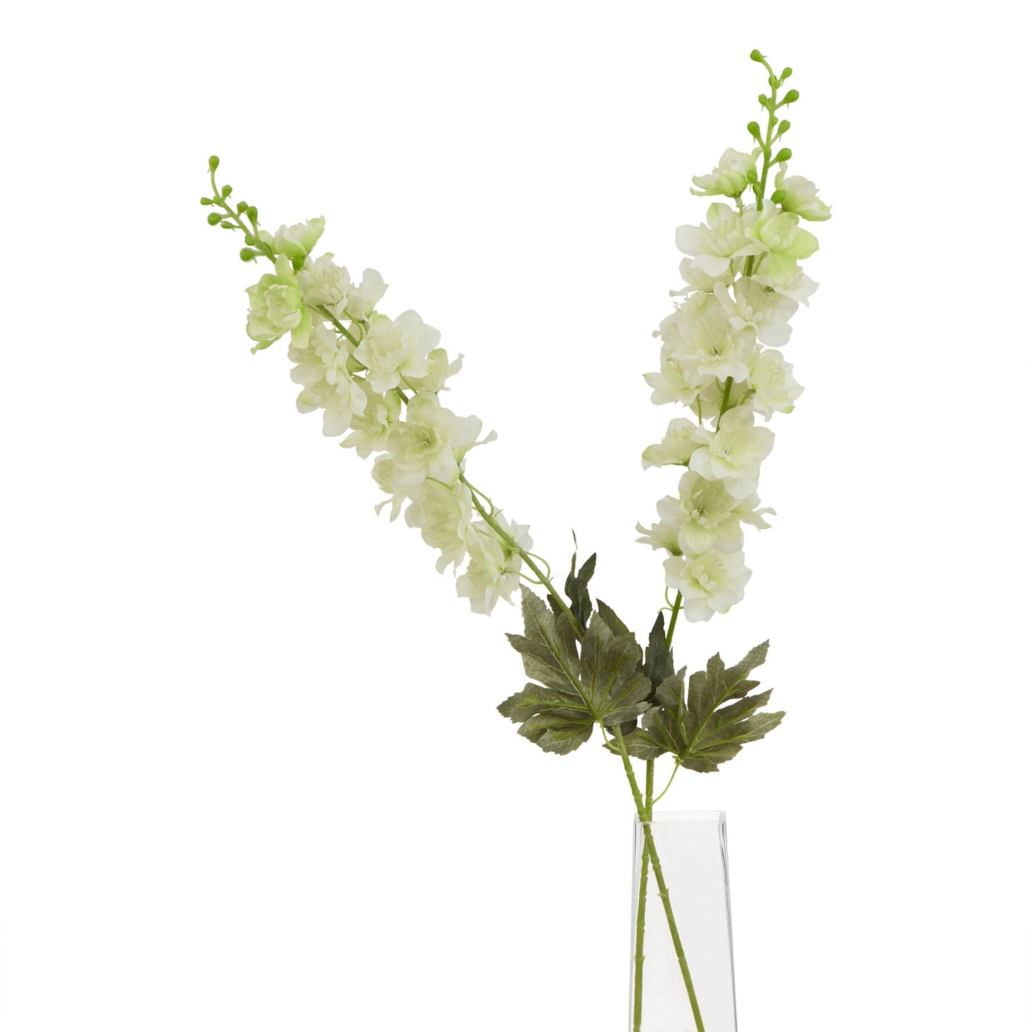 The Natural Garden Collection White Delphinium