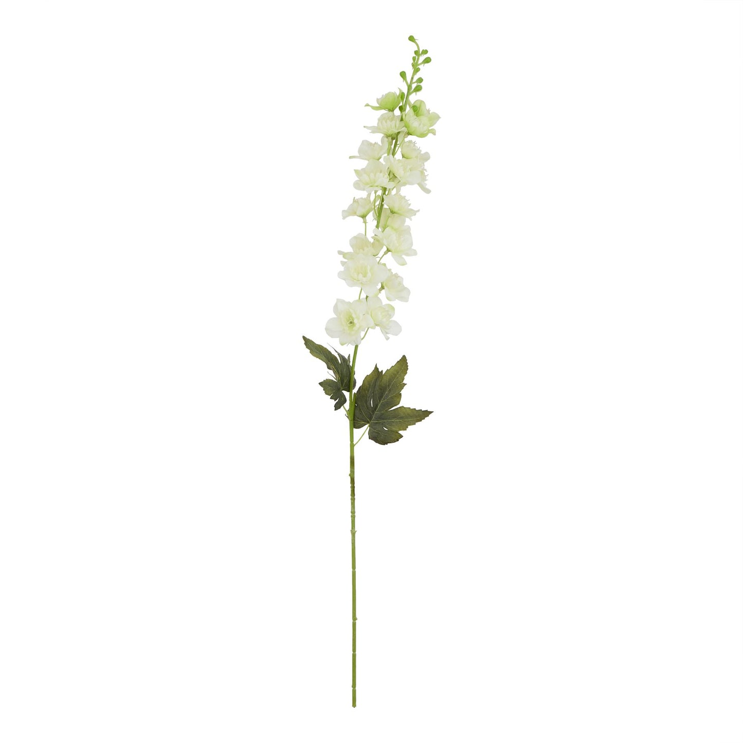 The Natural Garden Collection White Delphinium