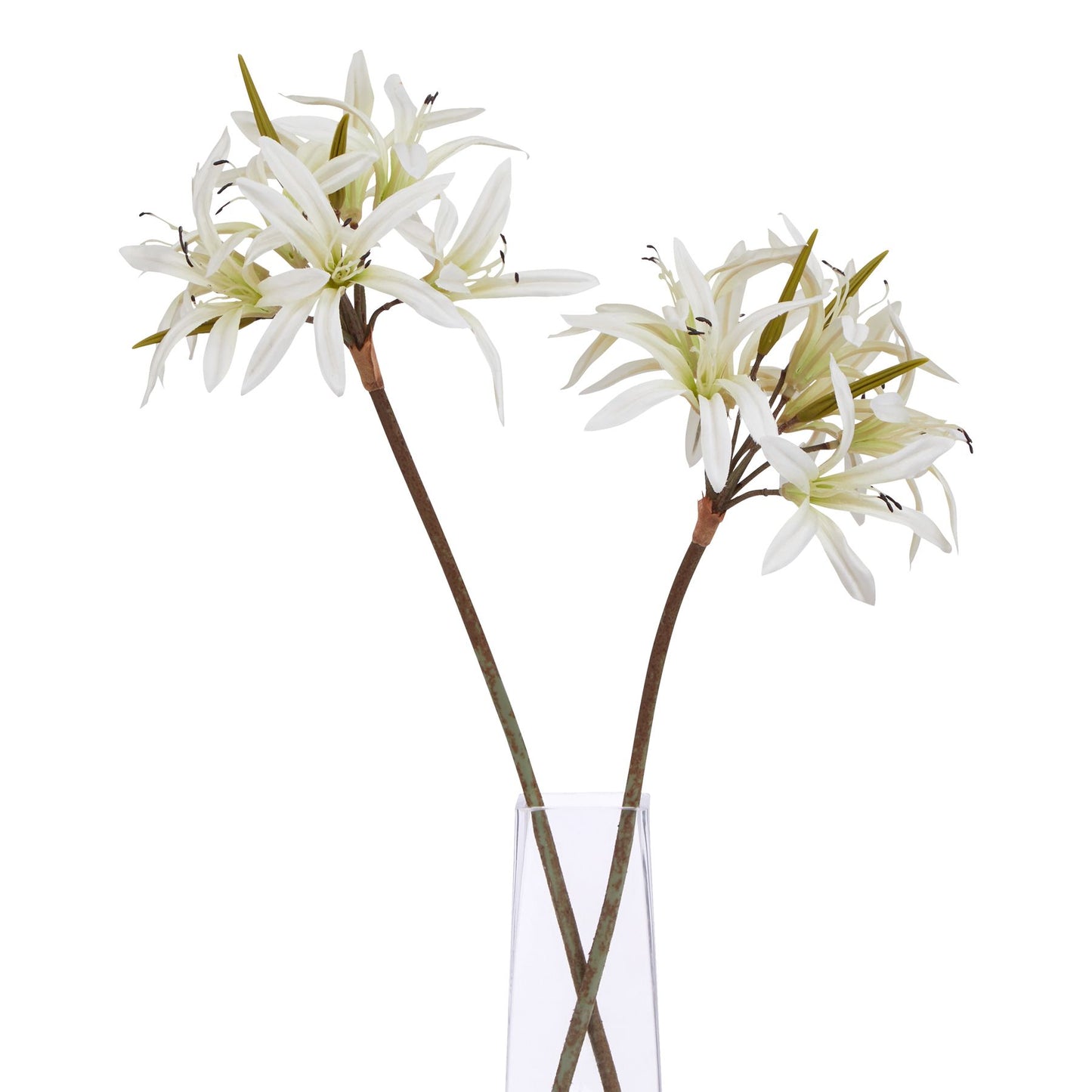 The Natural Garden Collection White Lily Stem