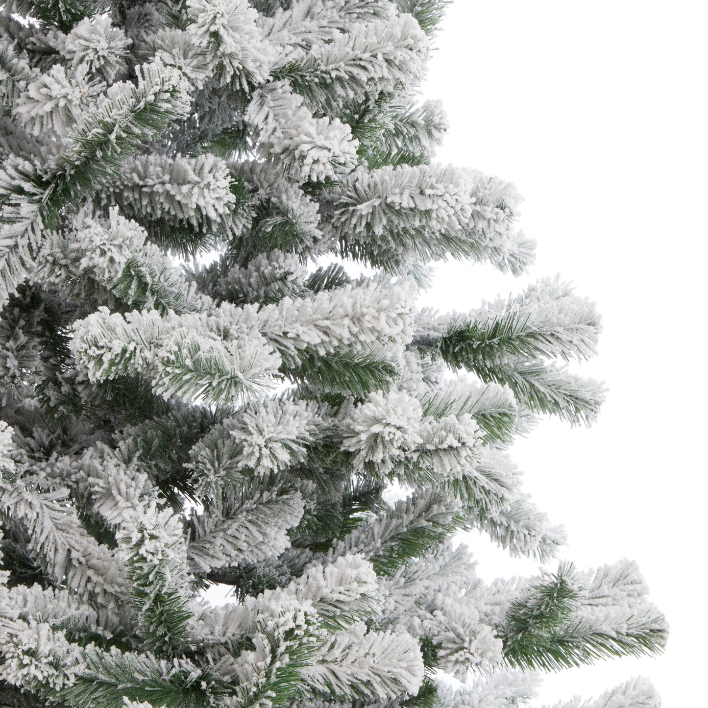 Large Snowy Pine Tree