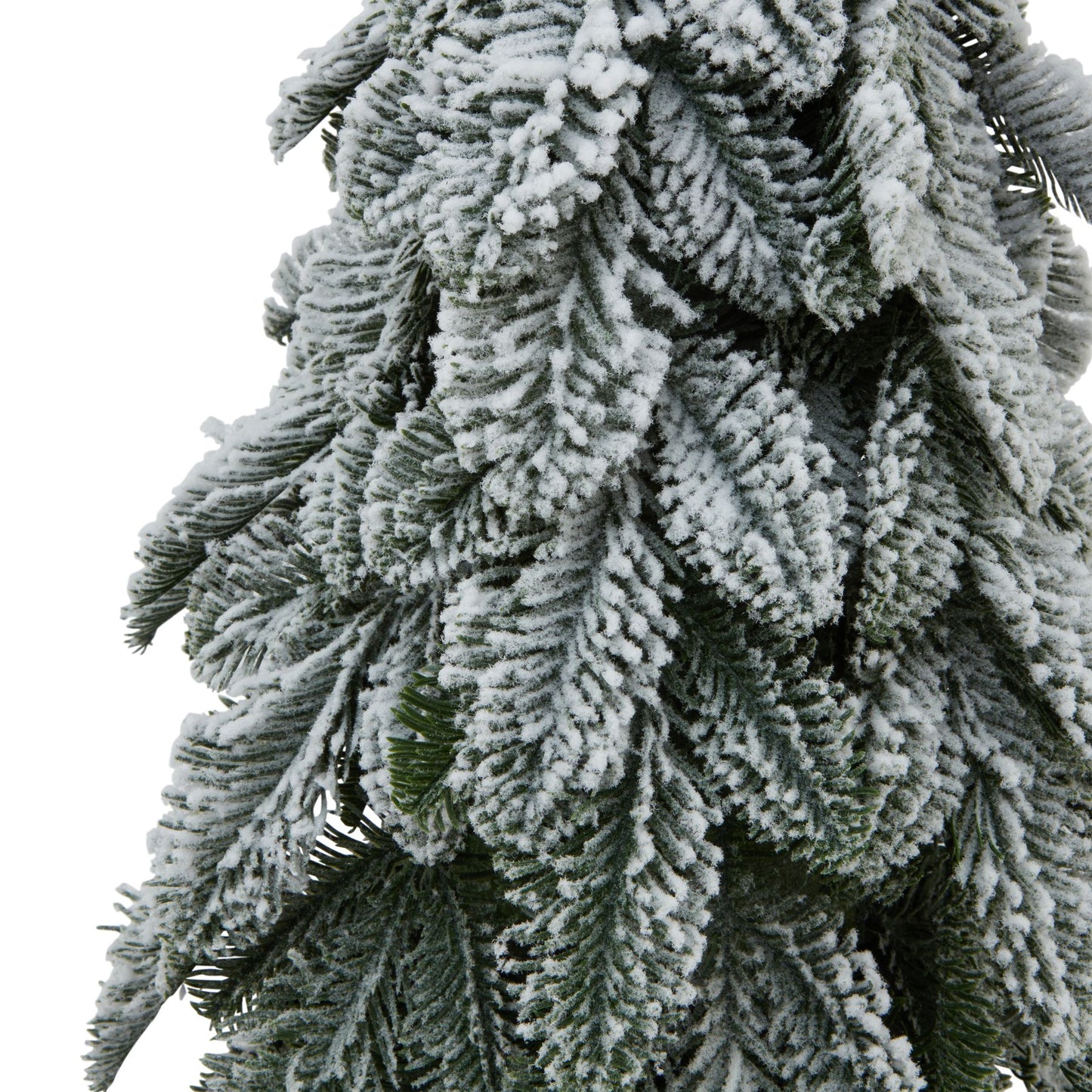 Large Snowy Fir Tree