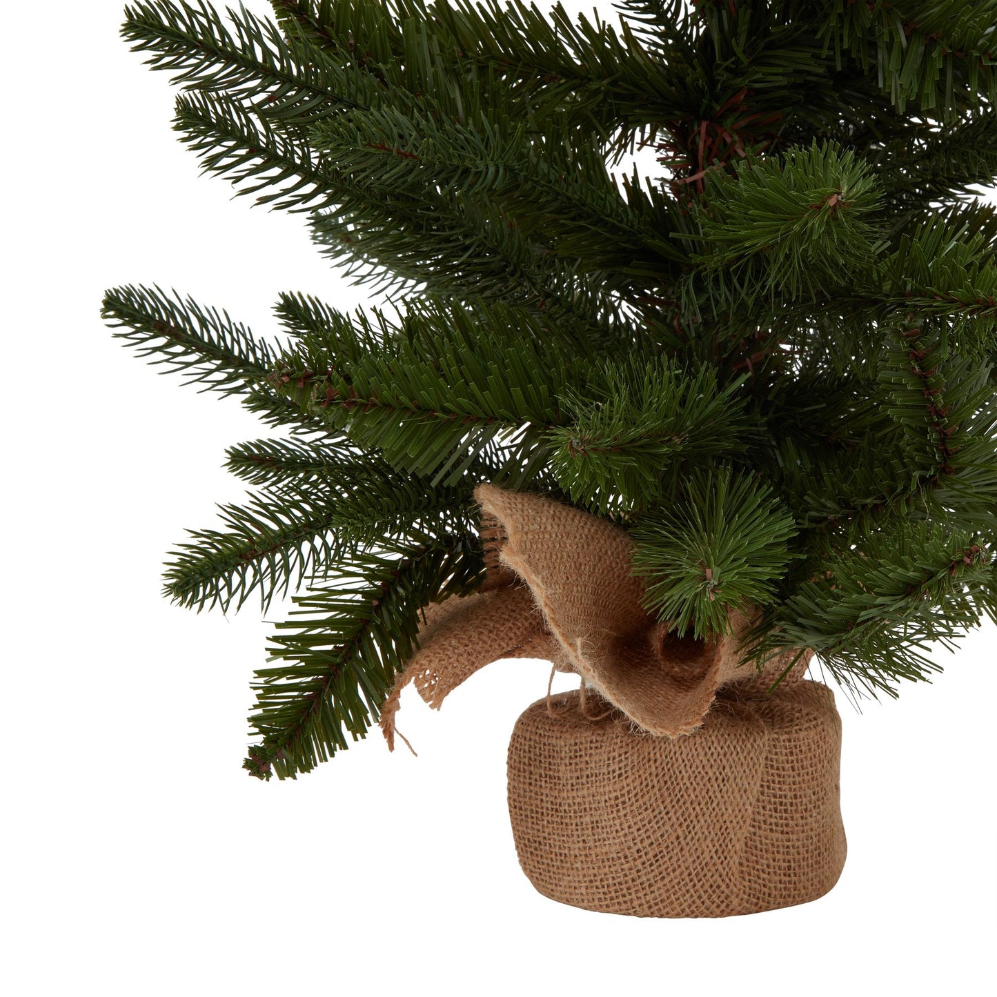 Medium Spruce Tree In Hessian Wrap