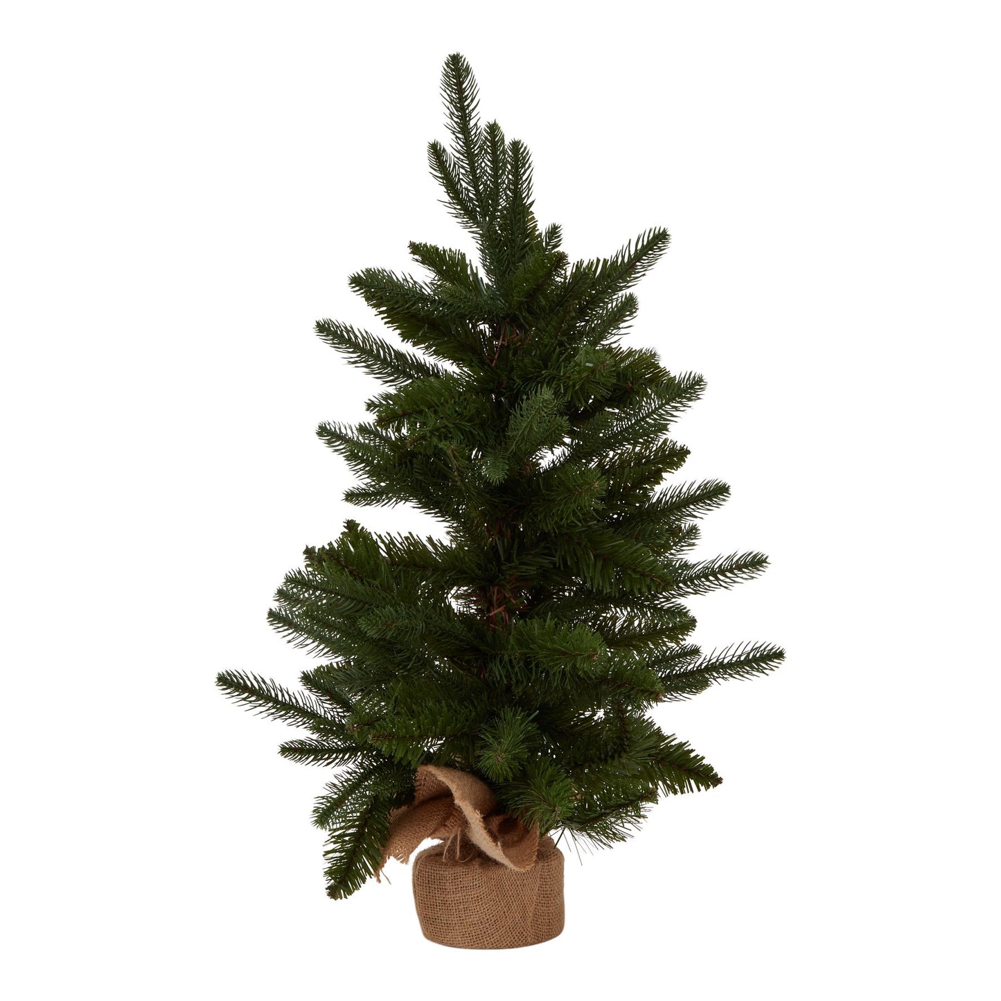 Medium Spruce Tree In Hessian Wrap